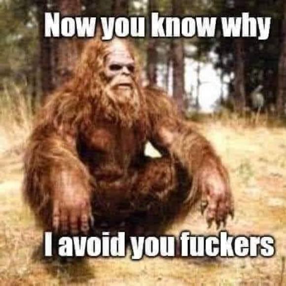 Meet your Posher, Rob - Picture 1 of 1